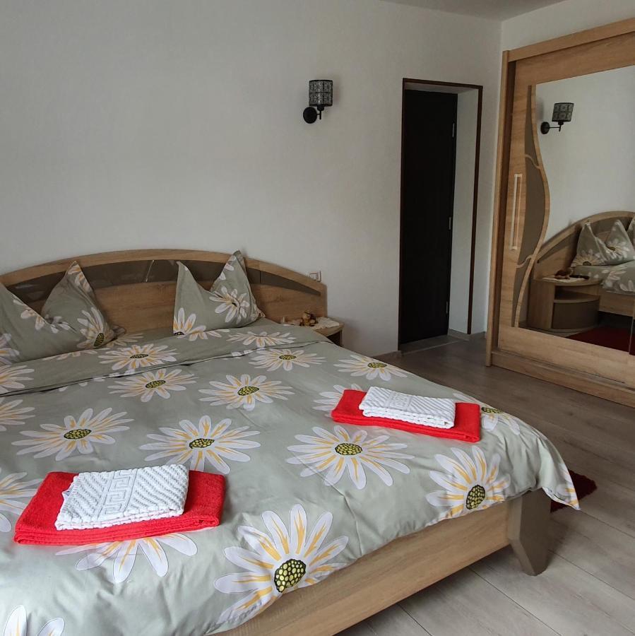 Casa Gusa Borşa Zewnętrze zdjęcie